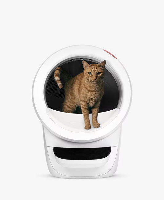 Litter-Robot 4 Automatic Self-Cleaning Cat Litter Box, White