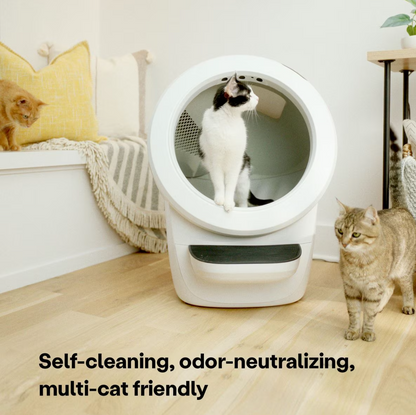 Litter-Robot 4 Automatic Self-Cleaning Cat Litter Box, White