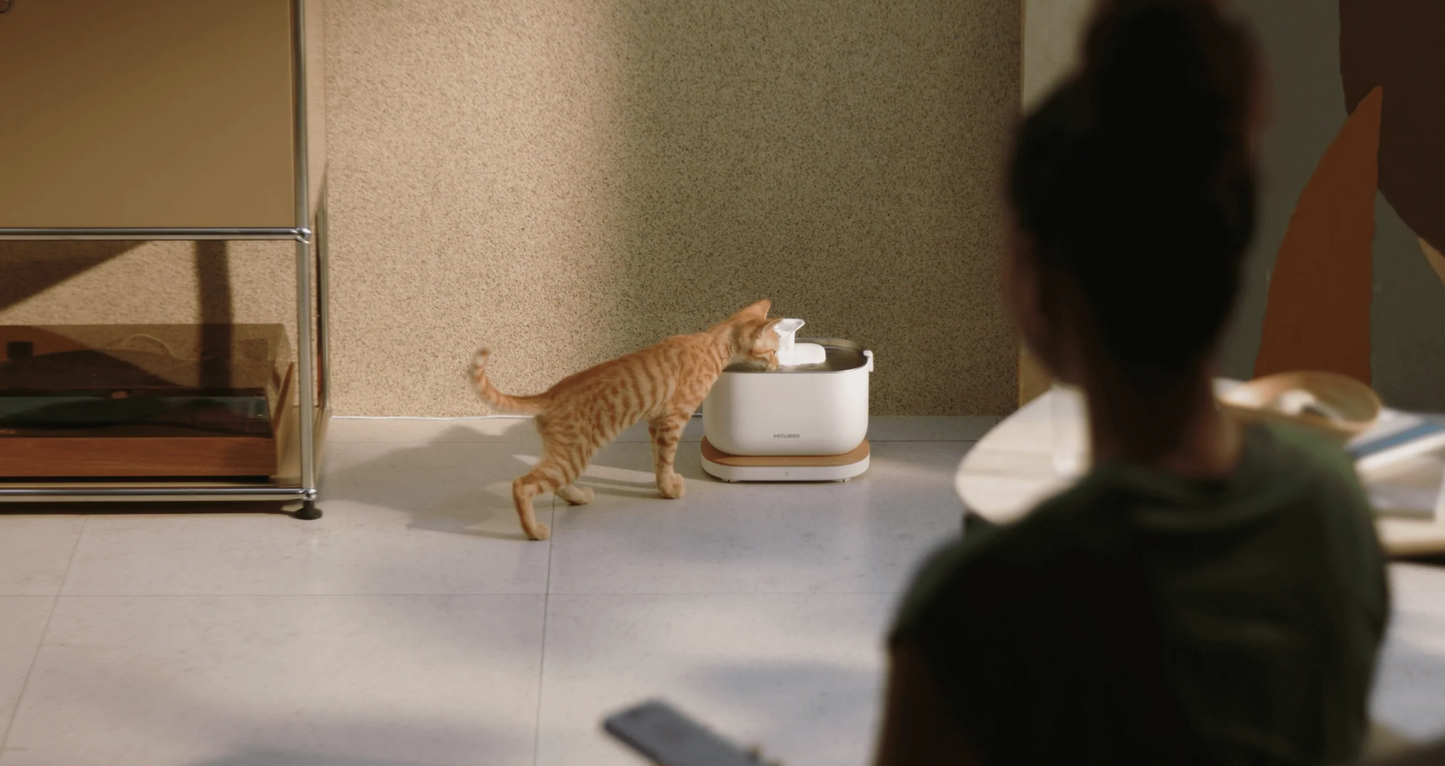 Automatic Cat Feeder with Camera, 1080p HD, Remote App Food Dispensing Dual Bowl, Two-Way Audio Interaction, AI Motion Detection (Black)