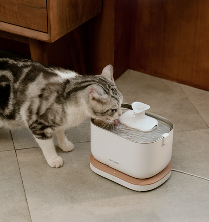 Automatic Cat Feeder with Camera, 1080p HD, Remote App Food Dispensing Dual Bowl, Two-Way Audio Interaction, AI Motion Detection (Black)
