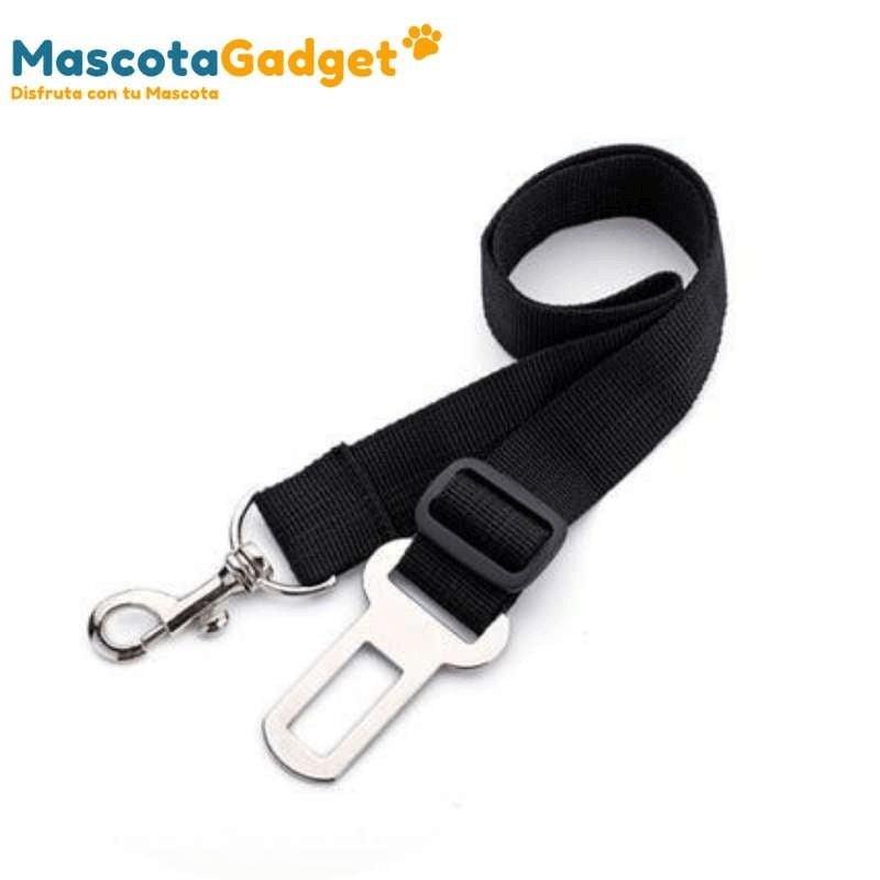 Cinturón de seguridad para Perro
