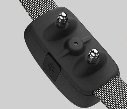 Collar Antiladridos Automático